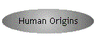 Human Origins