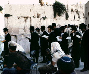 HTM0037W.gif (54497 bytes)