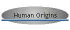 Human Origins